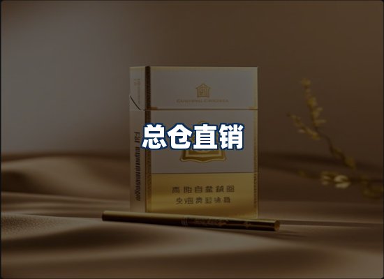 专业团队办公环境